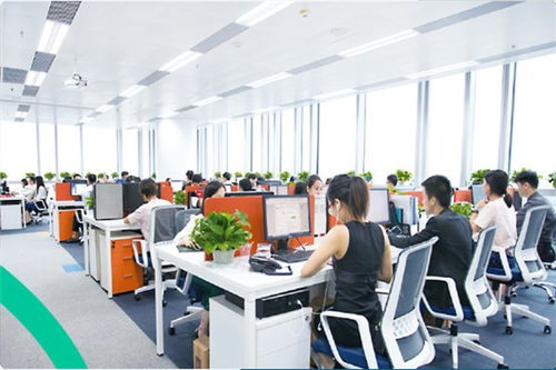 青島進口香蕉干運輸與貿(mào)易指南 外貿(mào)入門與國內(nèi)代理全解析
