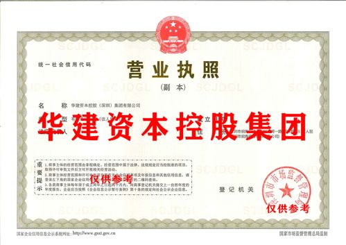 國內(nèi)貿(mào)易代理 助力企業(yè)高效拓展市場的重要橋梁